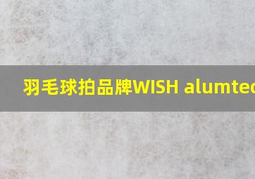 羽毛球拍品牌WISH alumtec501